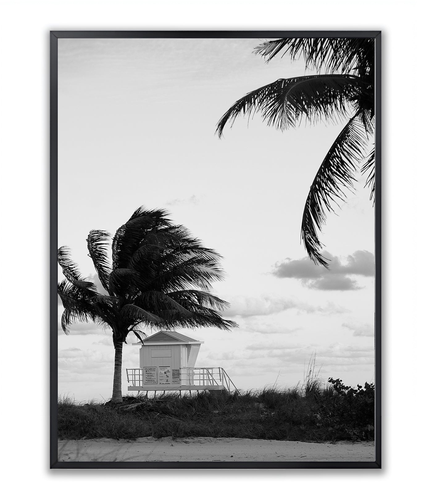 Windswept Coast - Framed Photography Print