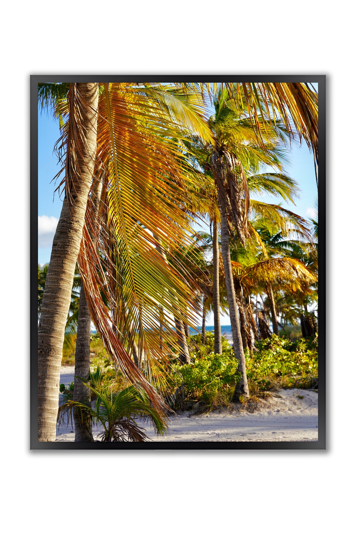 Miami Beach Summertime - Framed Photography Print
