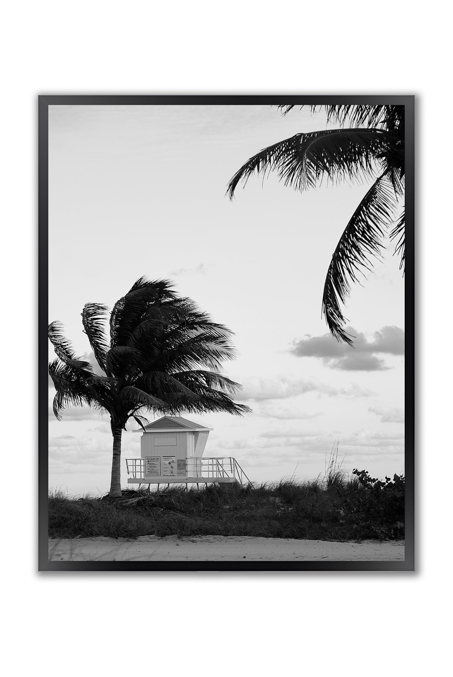 Windswept Coast - Framed Photography Print