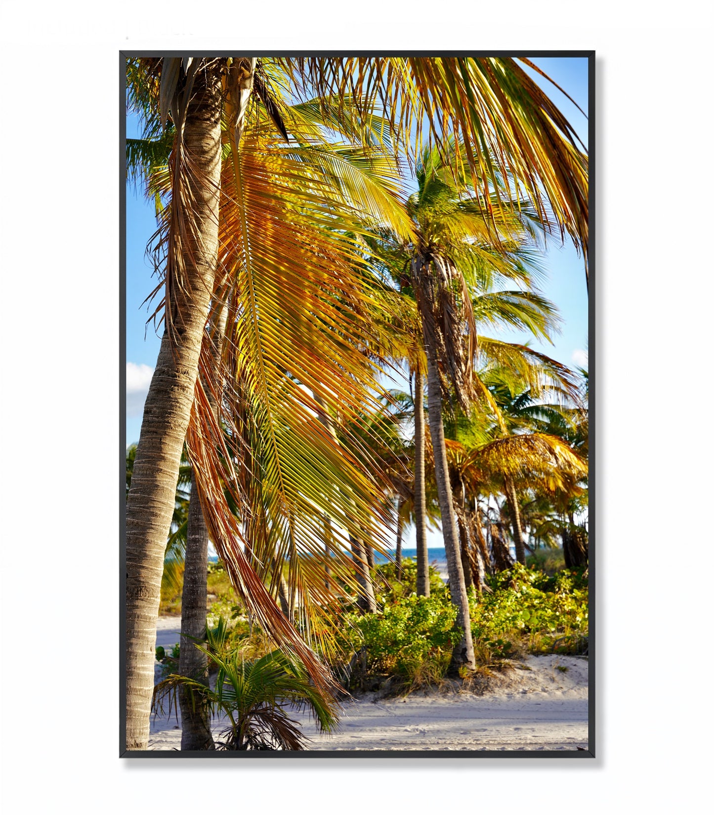 Miami Beach Summertime - Framed Photography Print