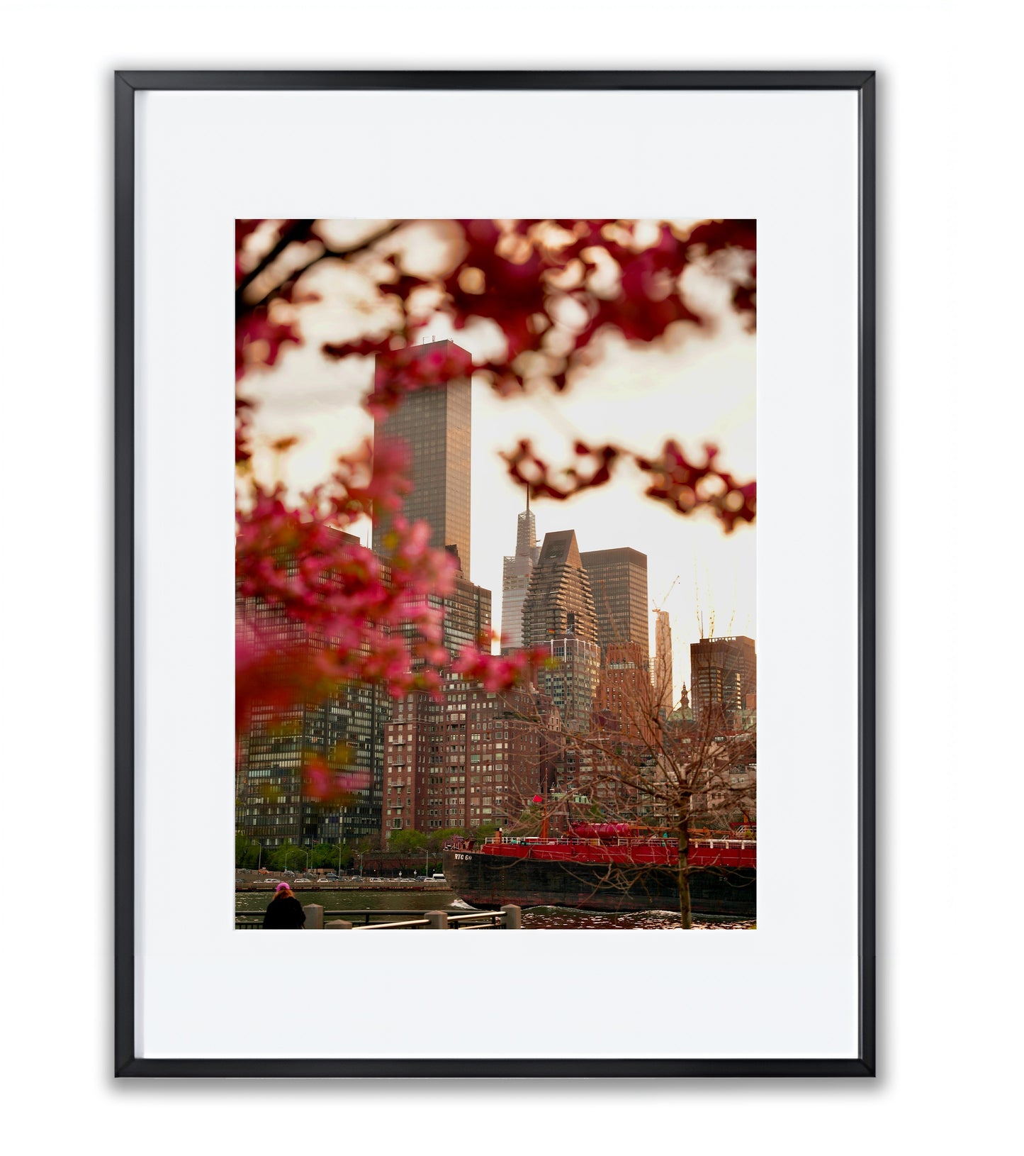 Urban Bloom: East River Spring in NYC - Framed Photography Print