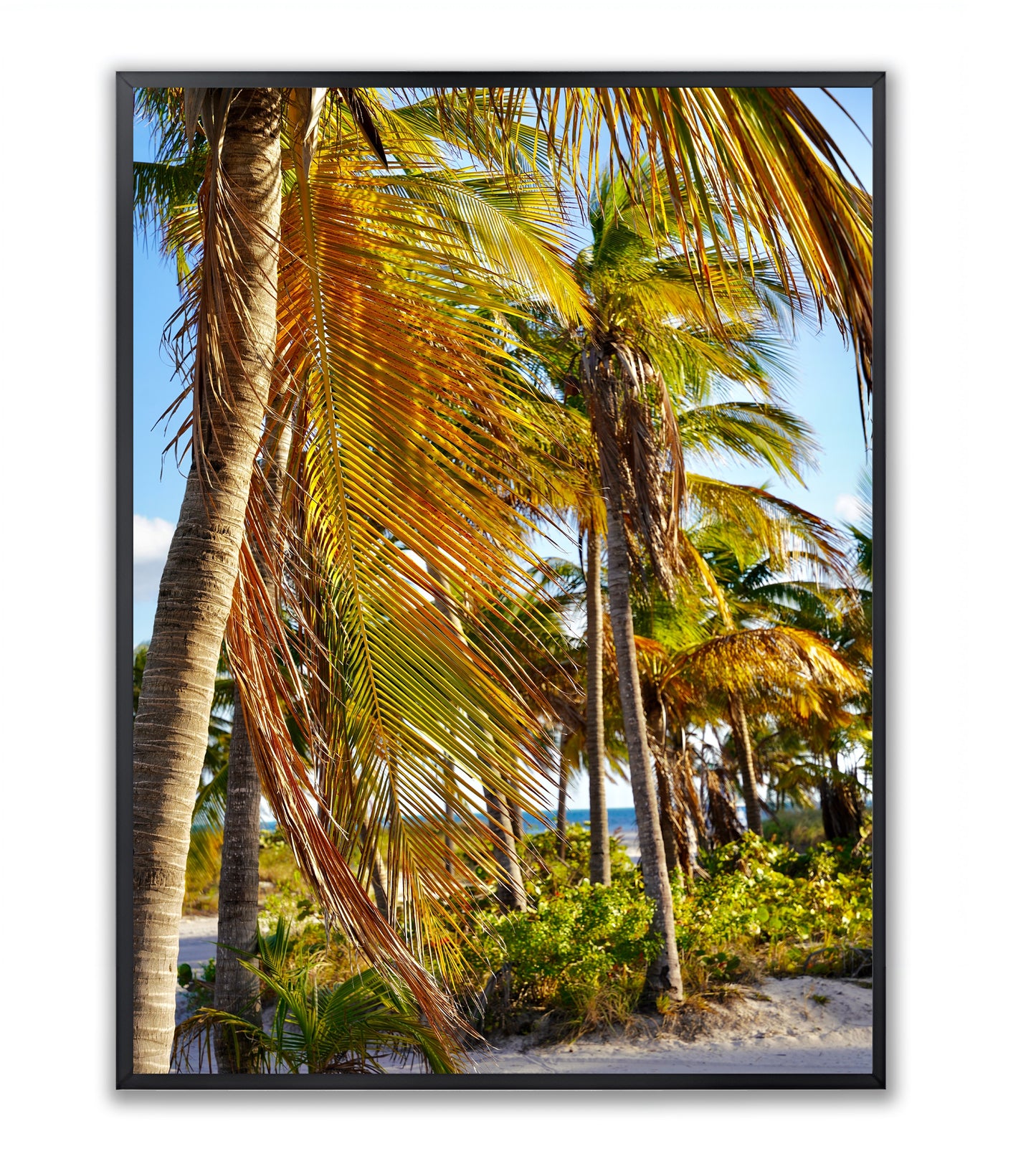Miami Beach Summertime - Framed Photography Print