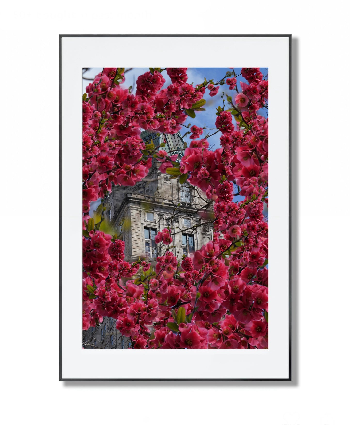 Blooming in The City - Framed Photography Print