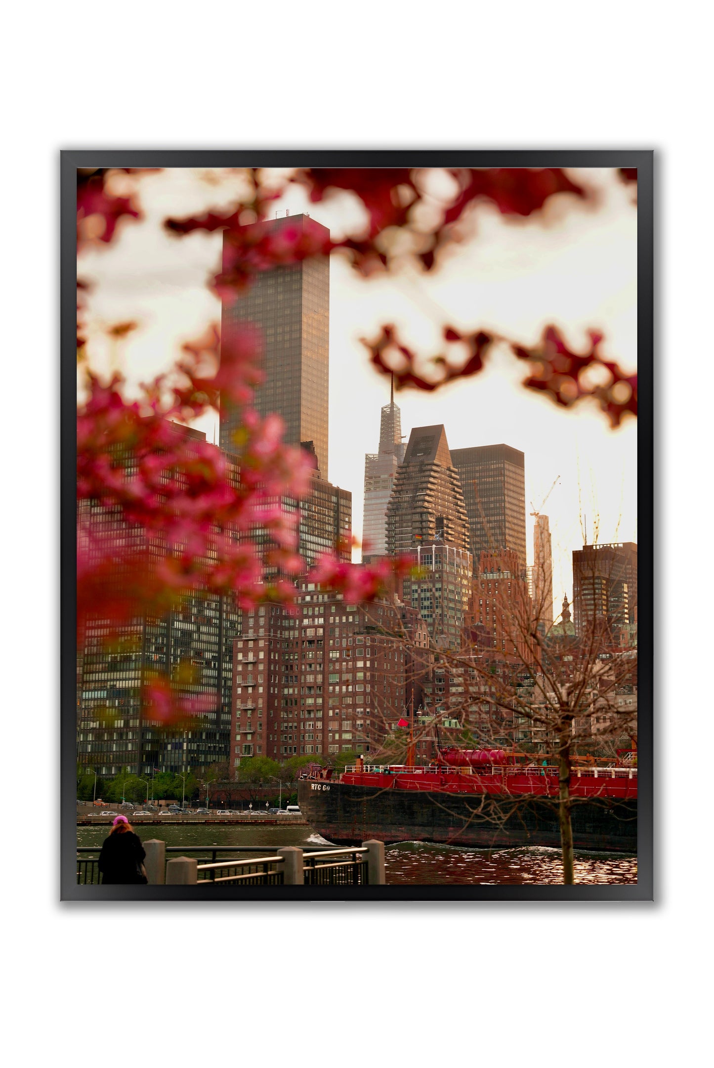 Urban Bloom: East River Spring in NYC - Framed Photography Print