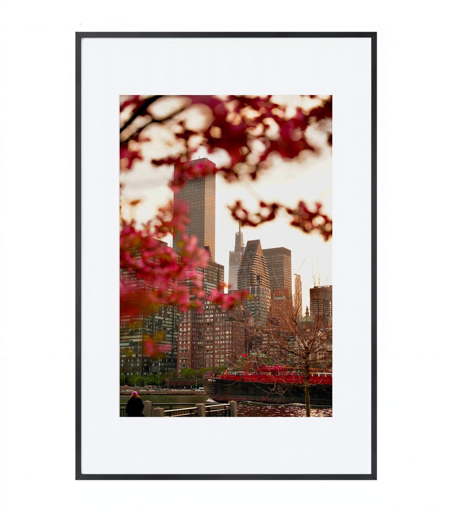 Urban Bloom: East River Spring in NYC - Framed Photography Print