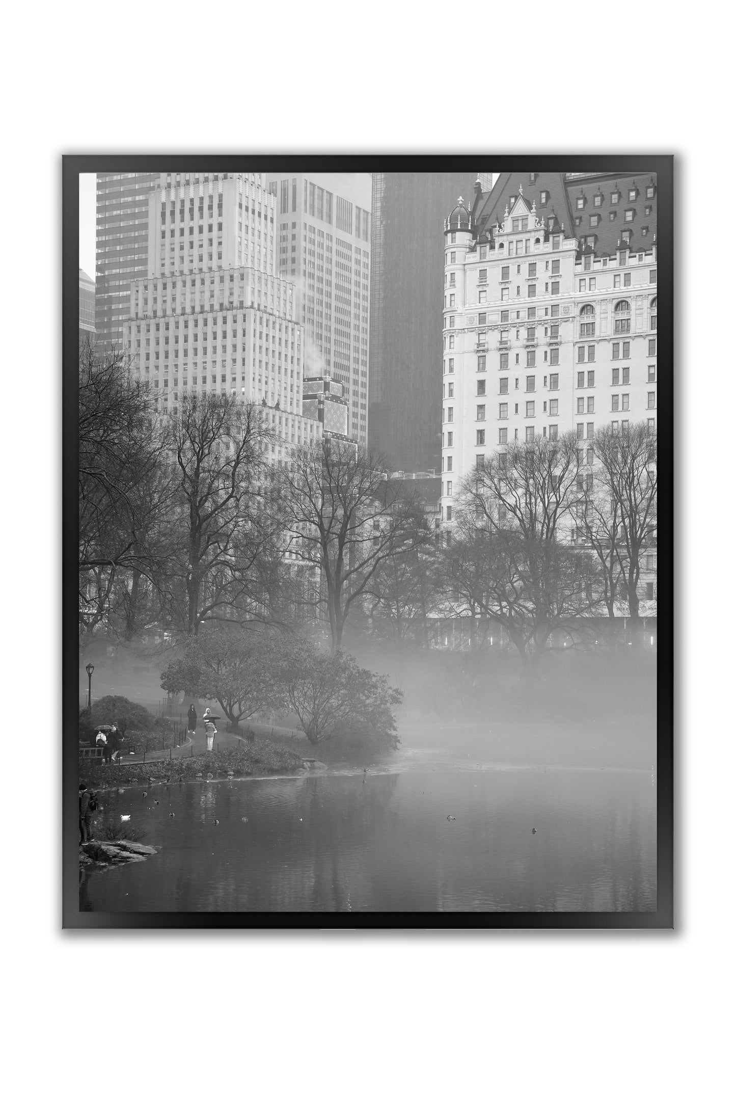 Urban Sanctuary in Fog: Central Park Scene - Framed Photography Print