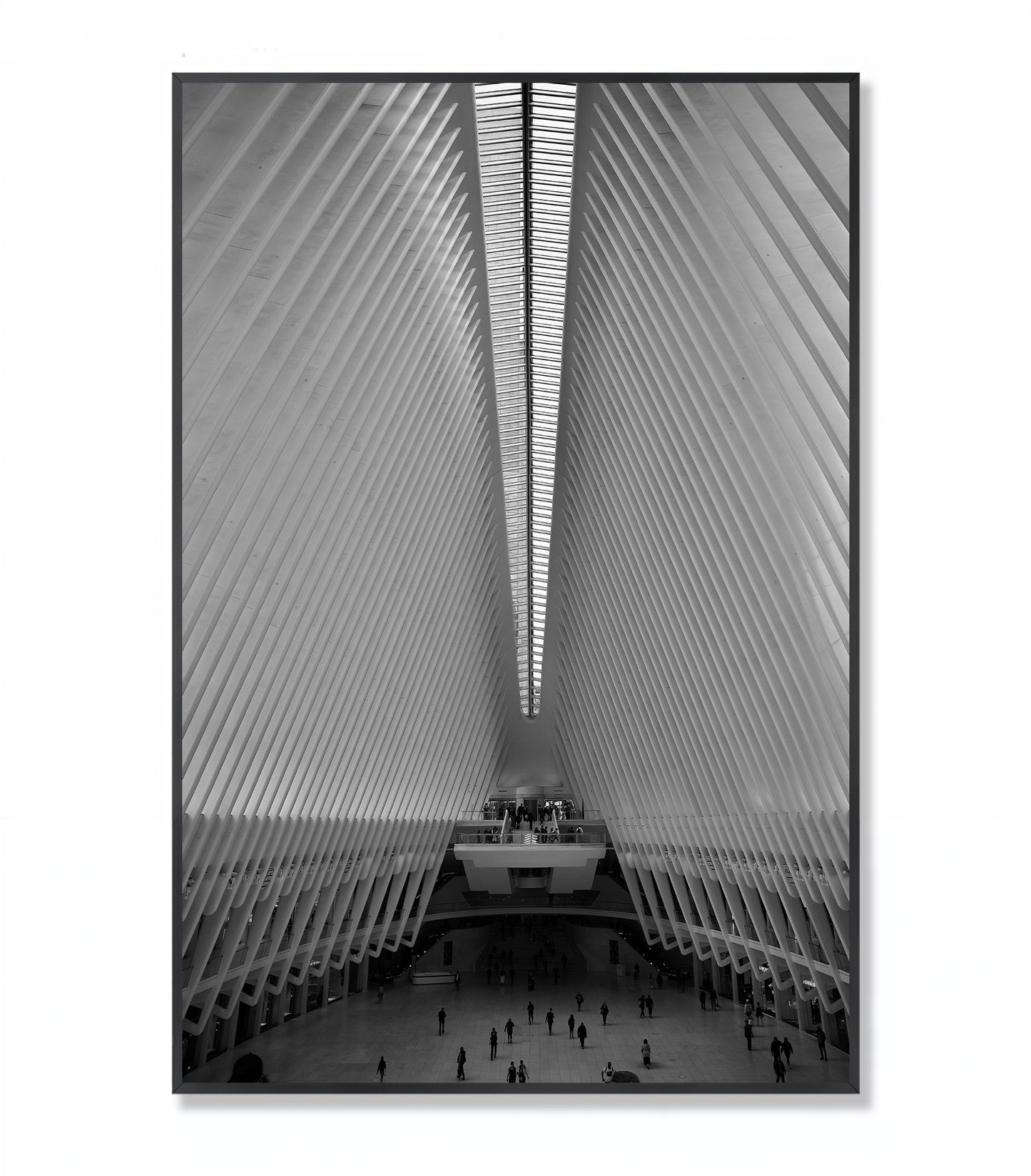 Oculus NYC - Iconic Architecture in Art