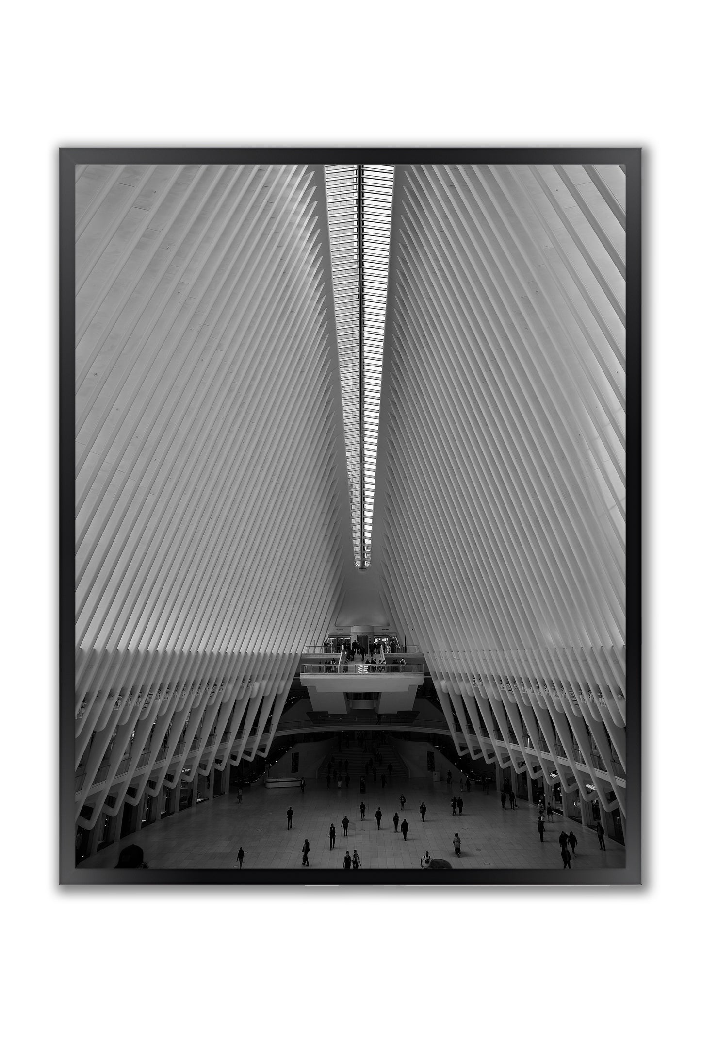 Oculus NYC - Iconic Architecture in Art