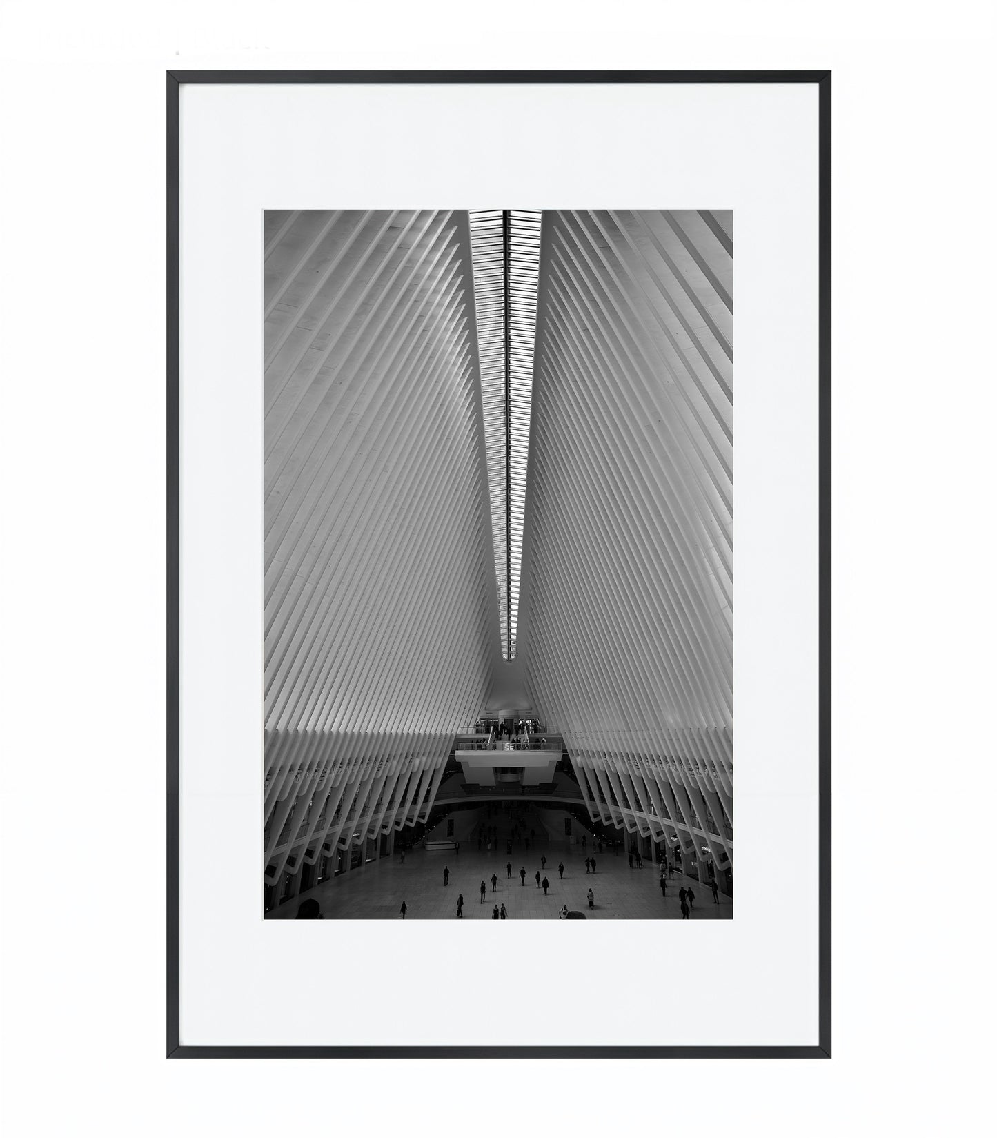 Oculus NYC - Iconic Architecture in Art