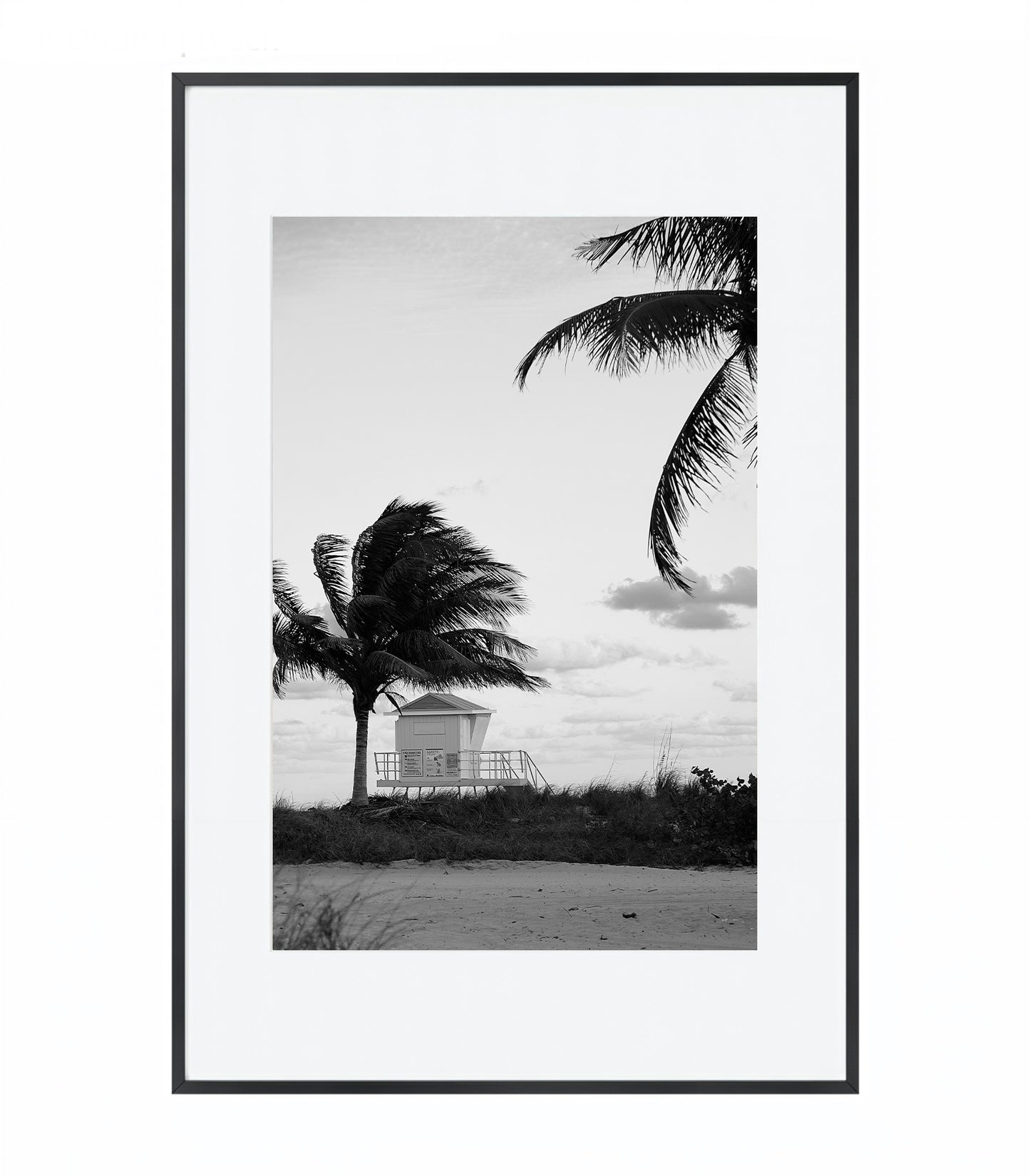 Windswept Coast - Framed Photography Print