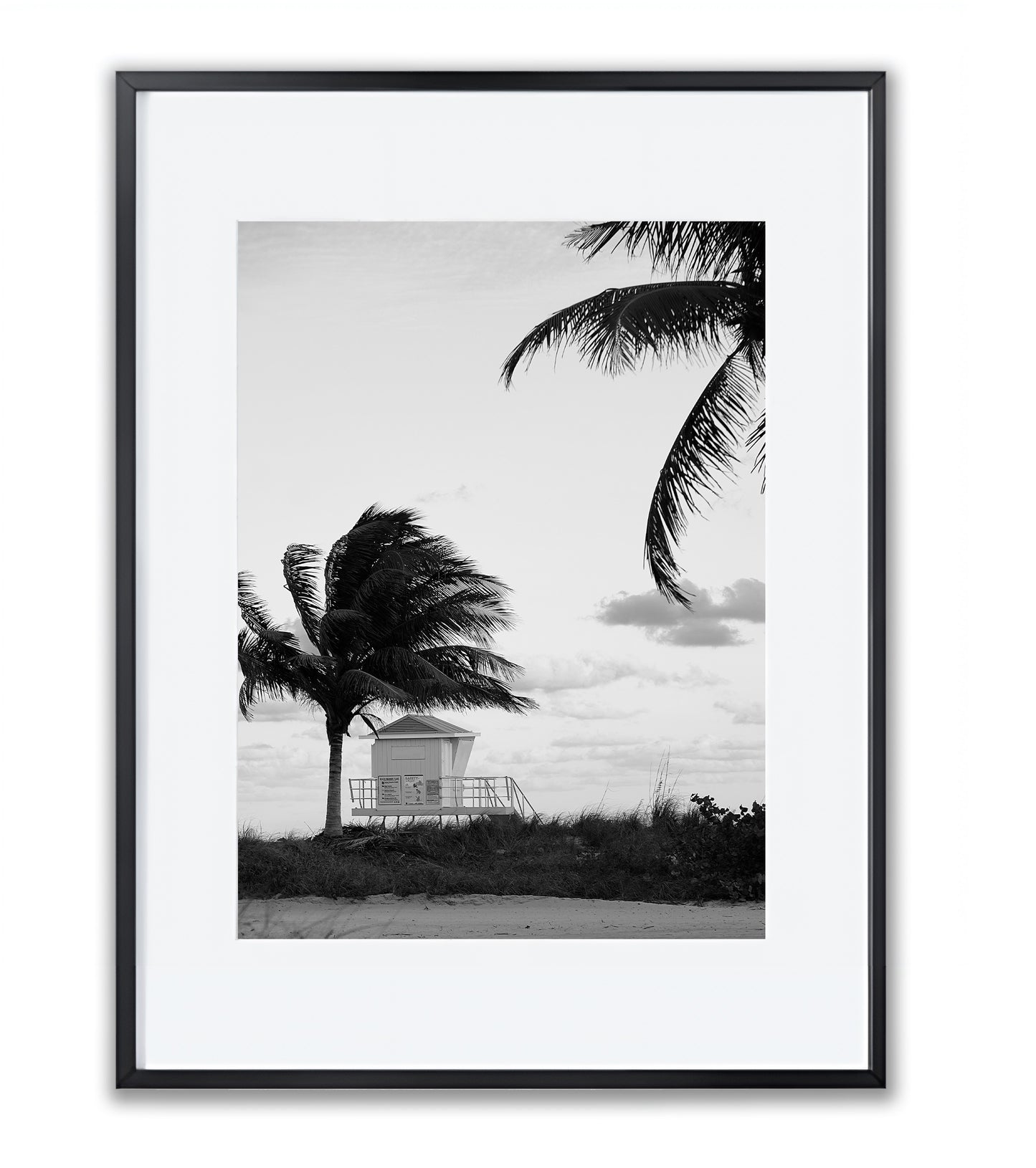 Windswept Coast - Framed Photography Print