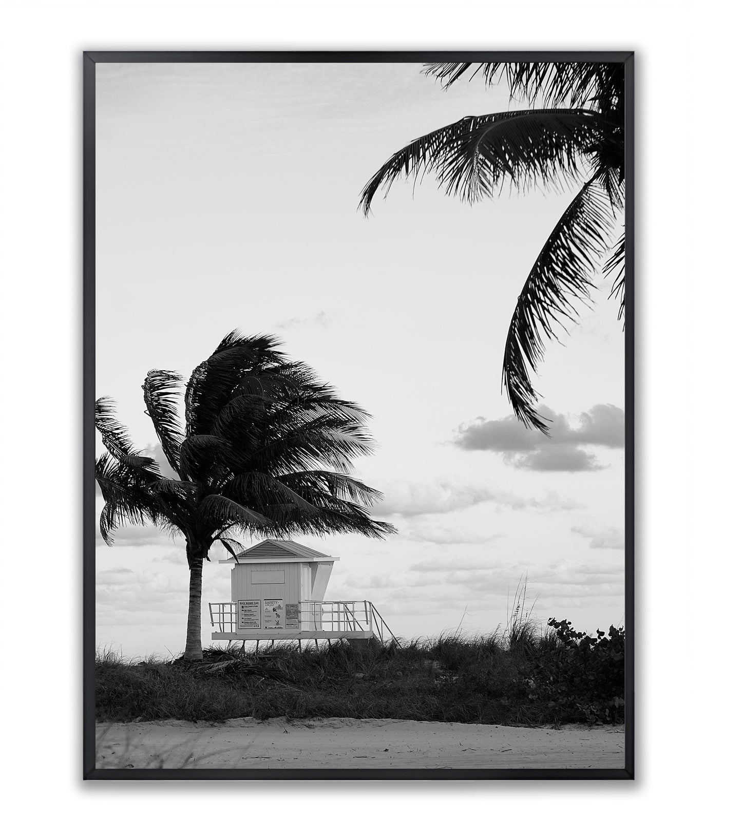 Windswept Coast - Framed Photography Print