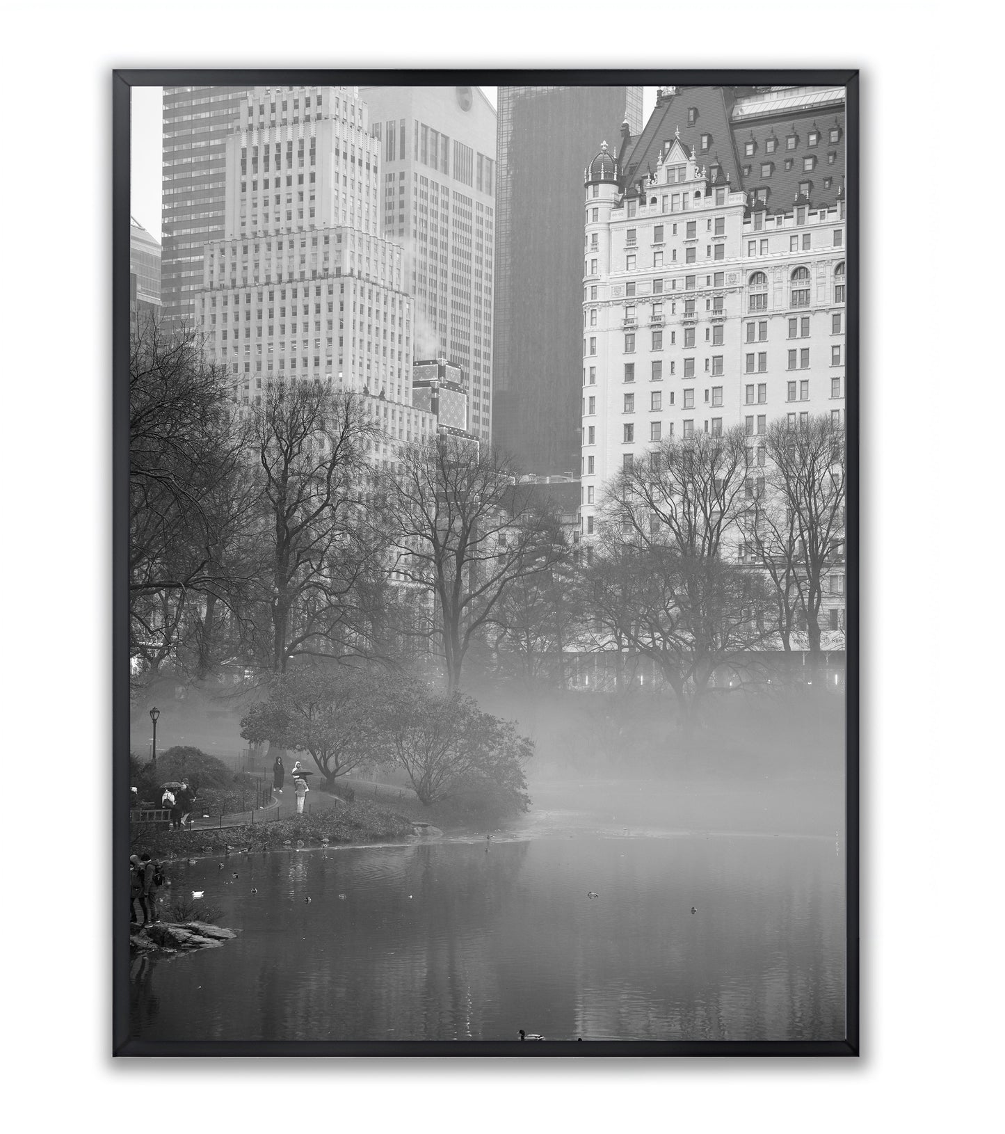 Urban Sanctuary in Fog: Central Park Scene - Framed Photography Print