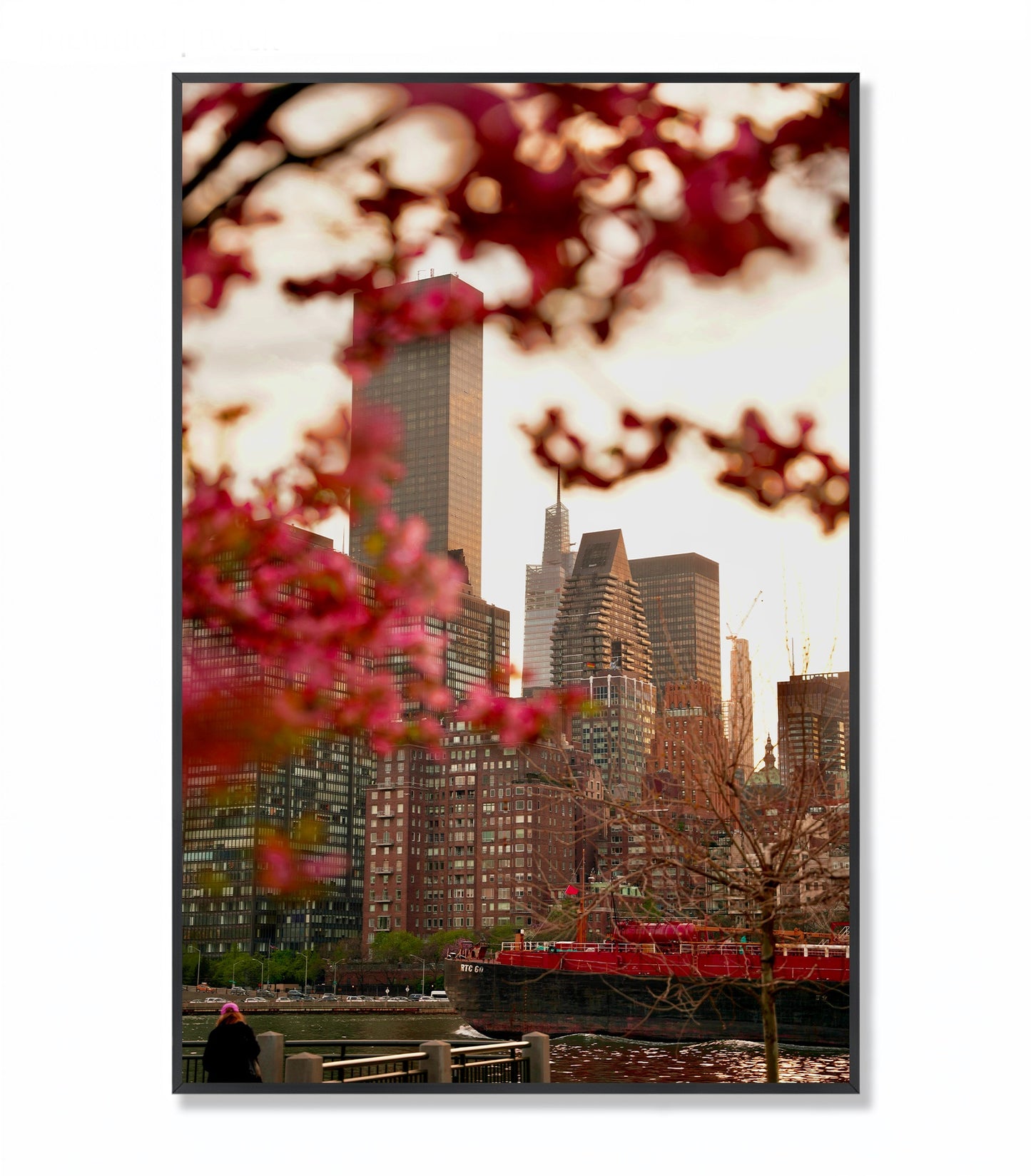 Urban Bloom: East River Spring in NYC - Framed Photography Print