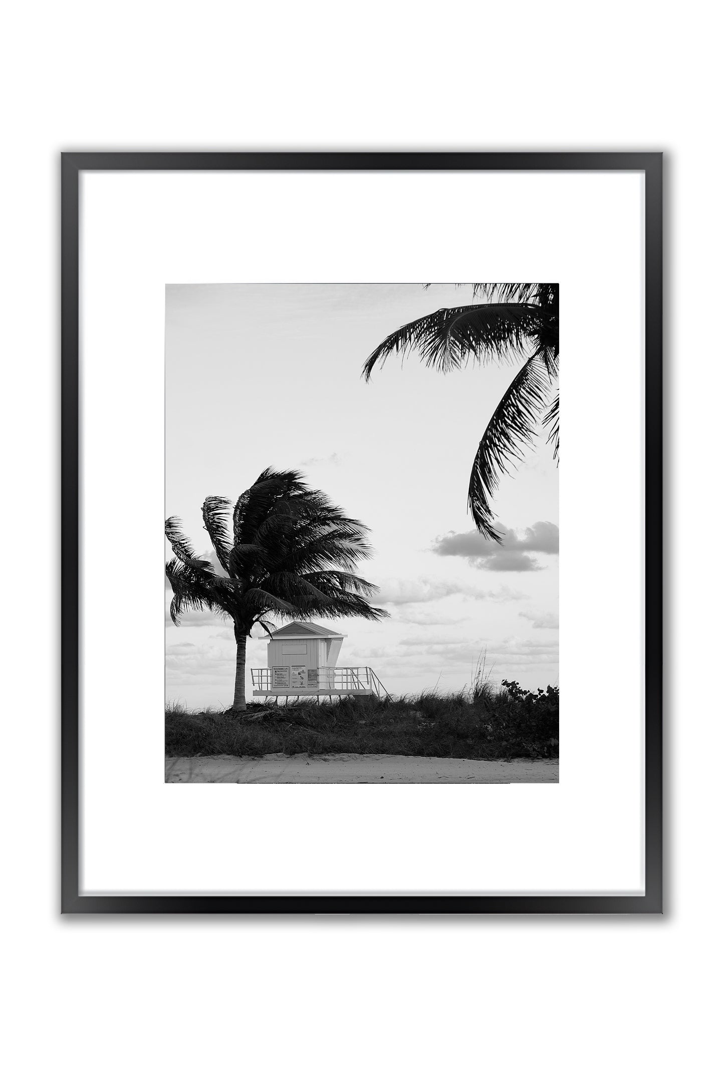 Windswept Coast - Framed Photography Print