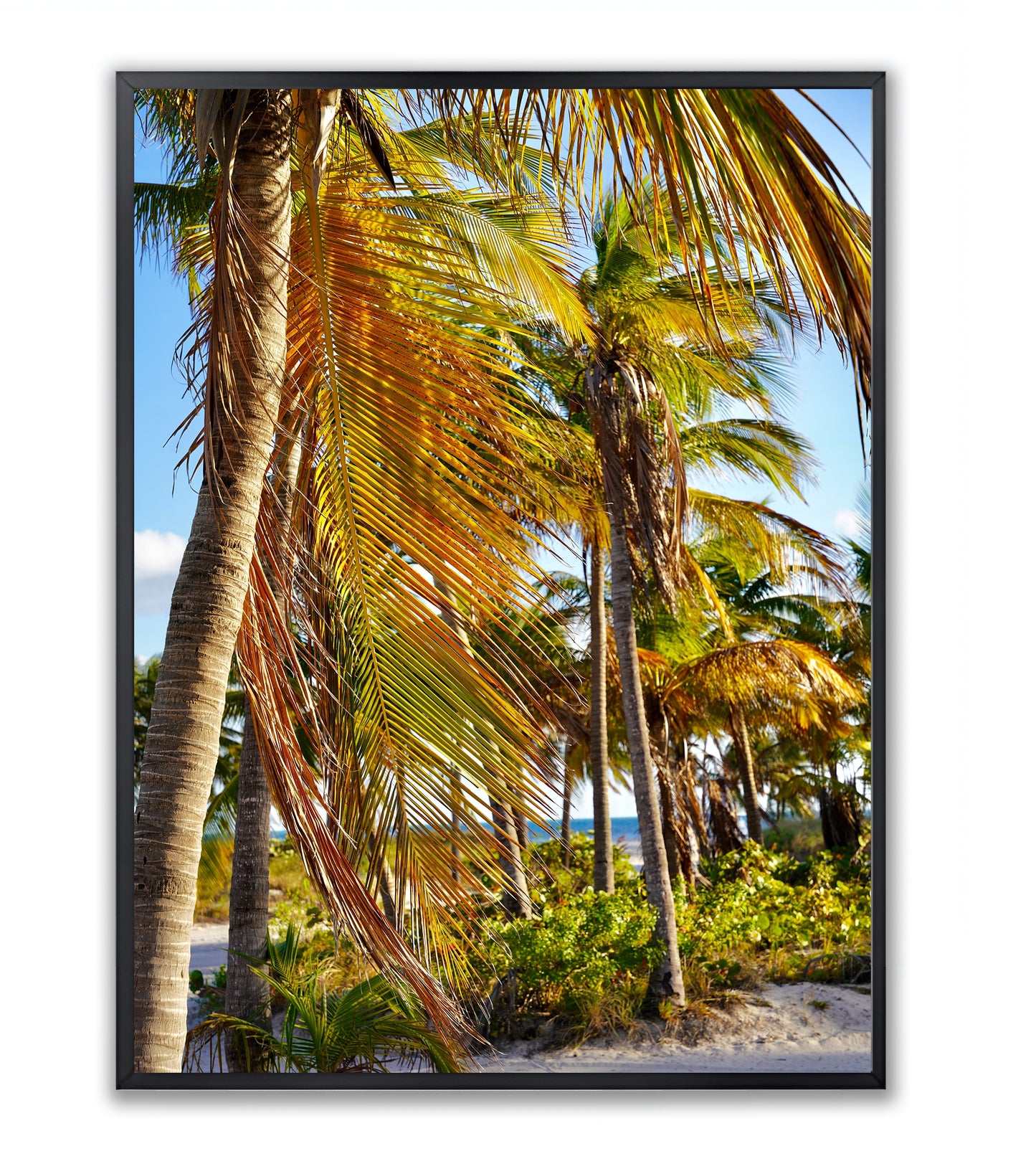 Miami Beach Summertime - Framed Photography Print