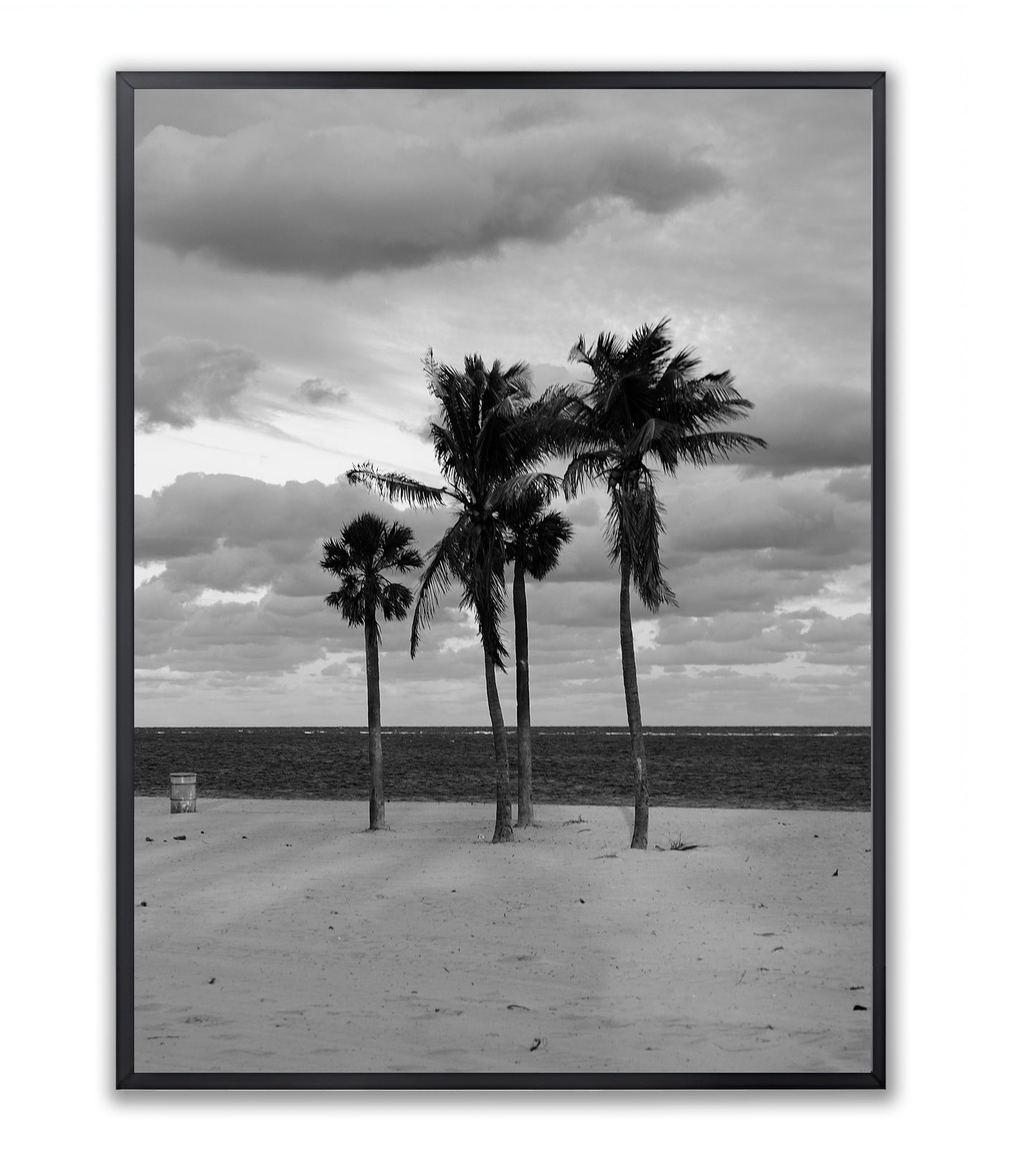Coastal Monologue in Four Palms - Framed Photography Print