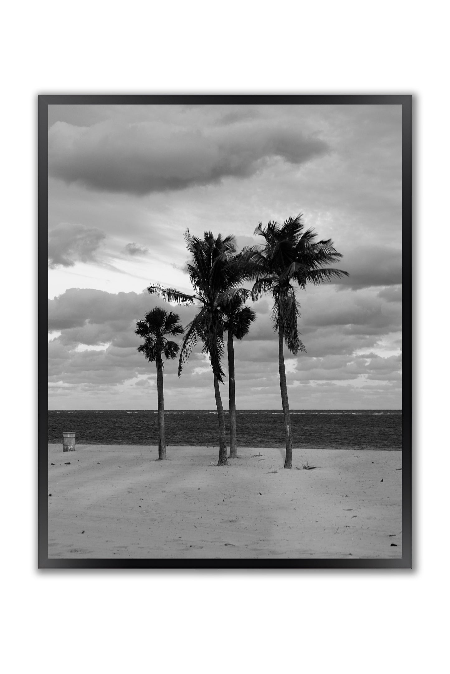 Coastal Monologue in Four Palms - Framed Photography Print