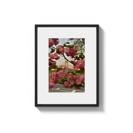 Blooming in the City - Framed Photography Print
