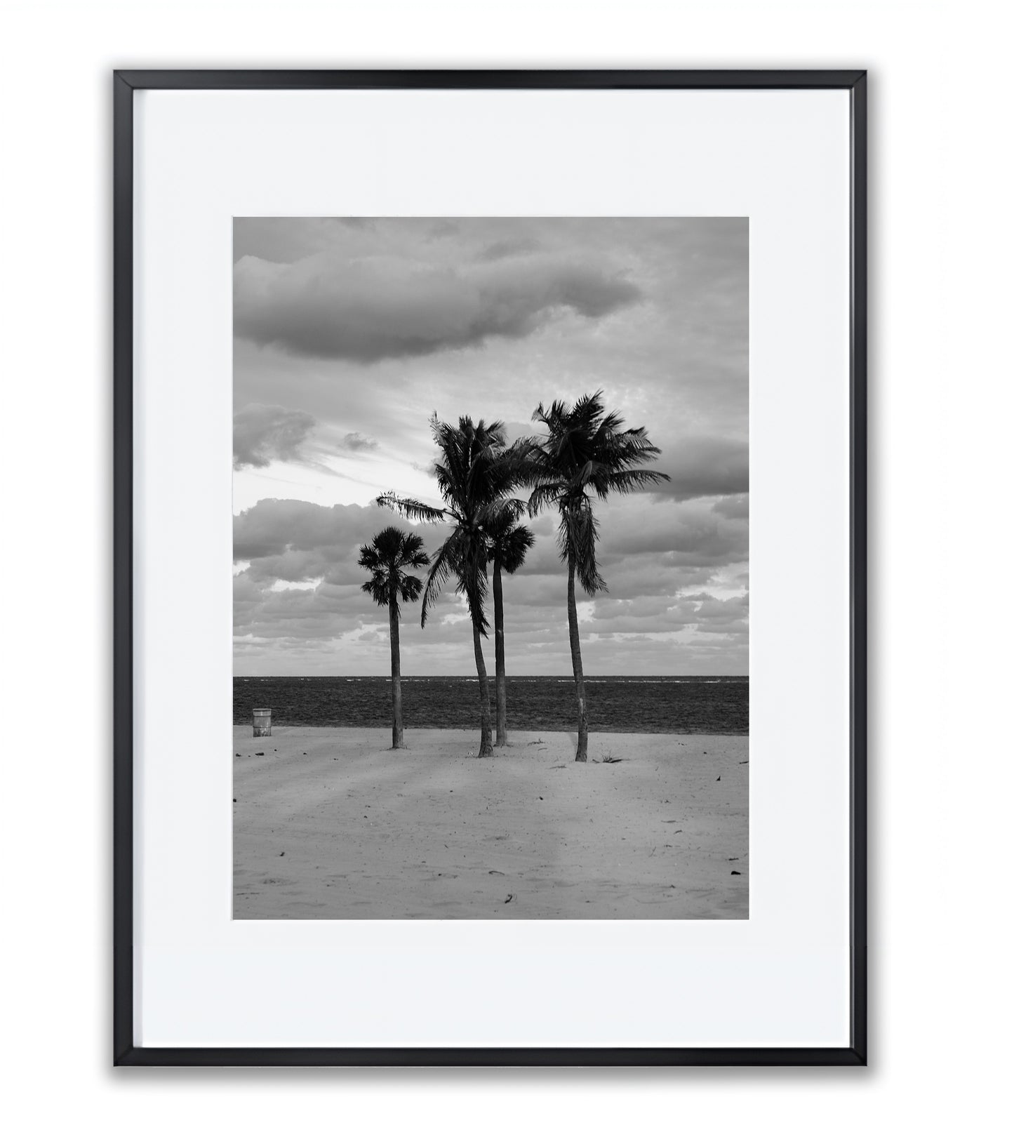 Coastal Monologue in Four Palms - Framed Photography Print
