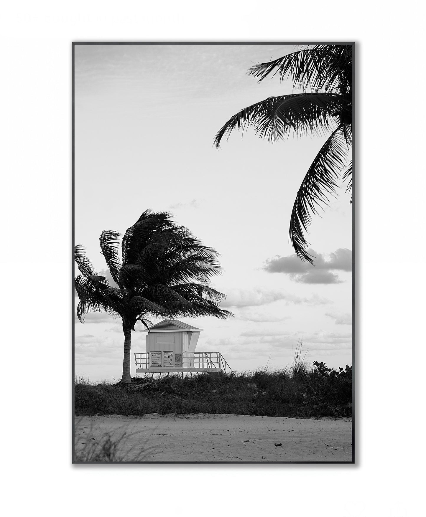 Windswept Coast - Framed Photography Print