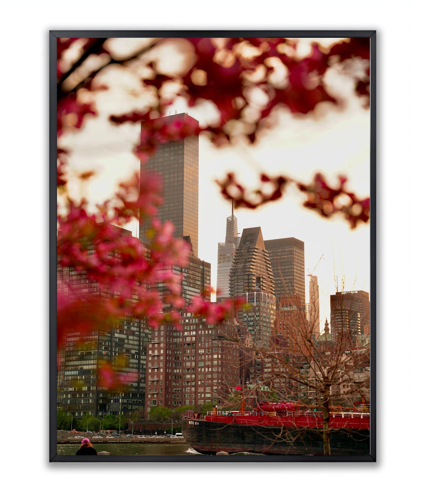 Urban Bloom: East River Spring in NYC - Framed Photography Print