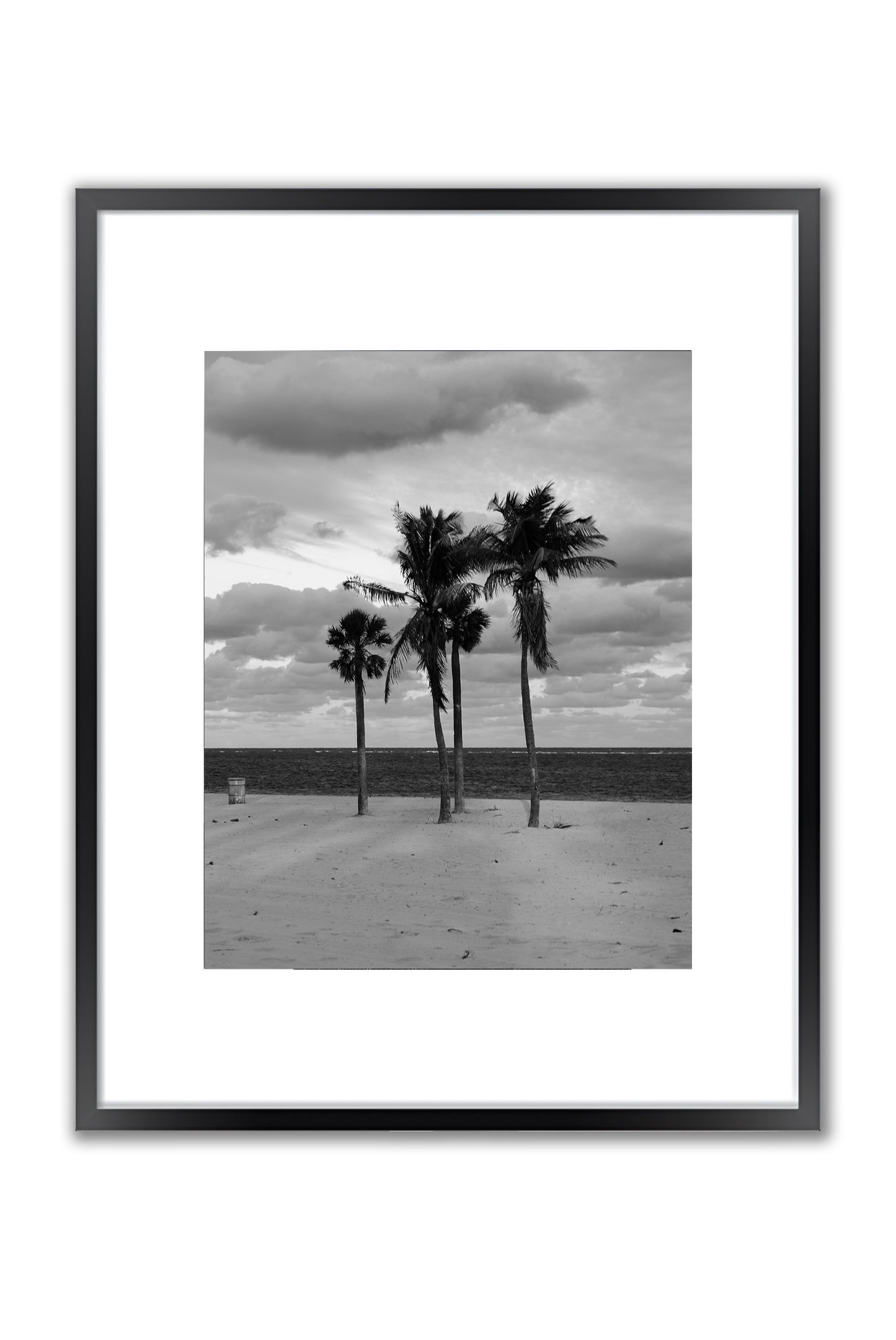 Coastal Monologue in Four Palms - Framed Photography Print