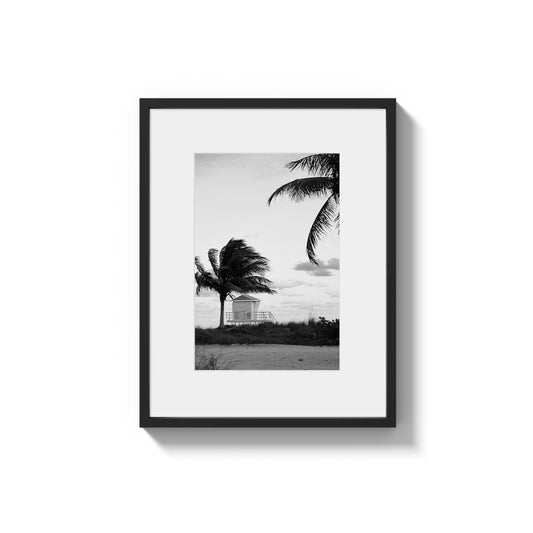 Windswept Coast - Framed Photography Print