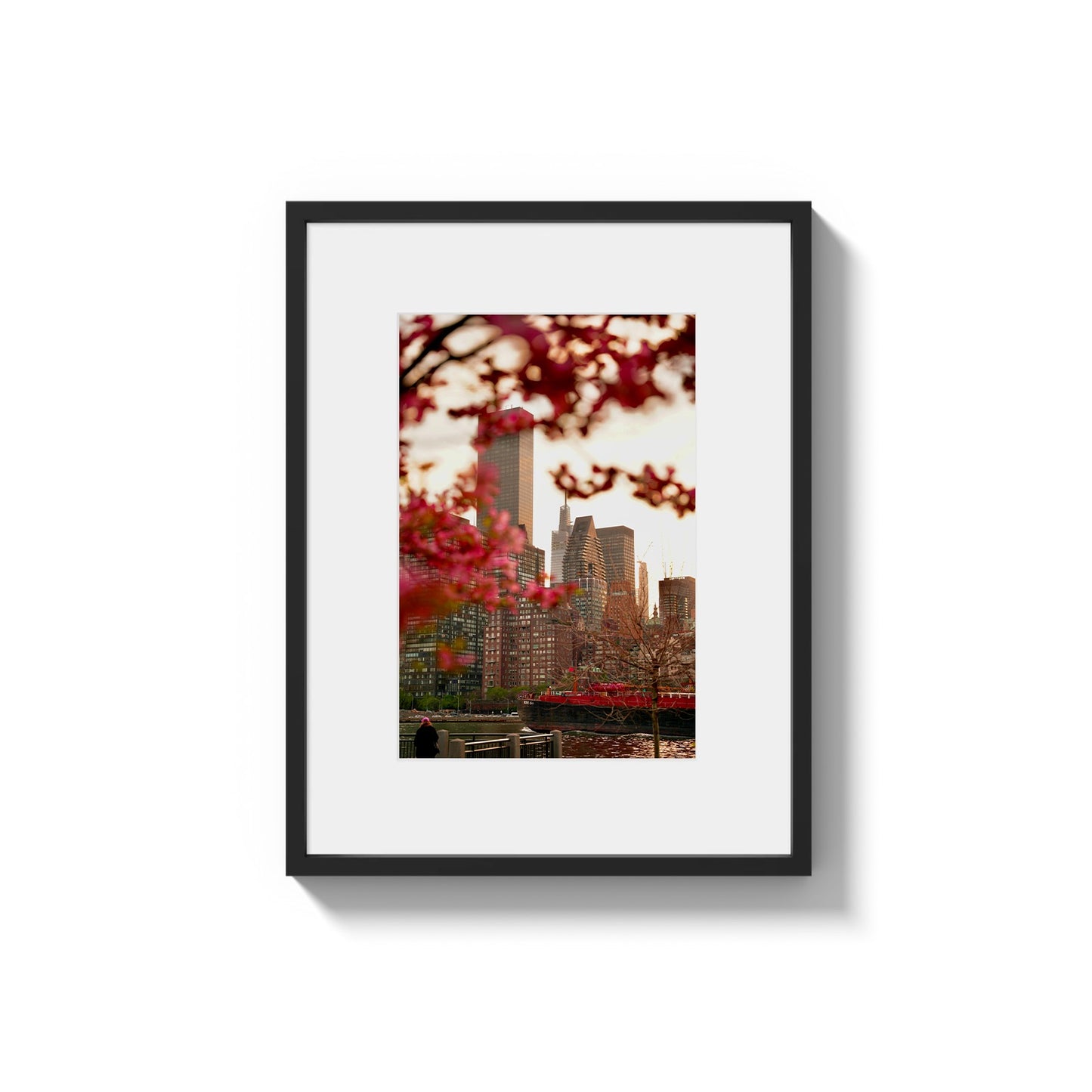 Urban Bloom: East River Spring in NYC - Framed Photography Print