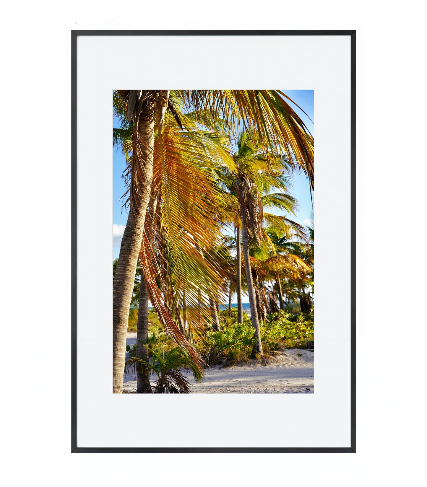 Miami Beach Summertime - Framed Photography Print