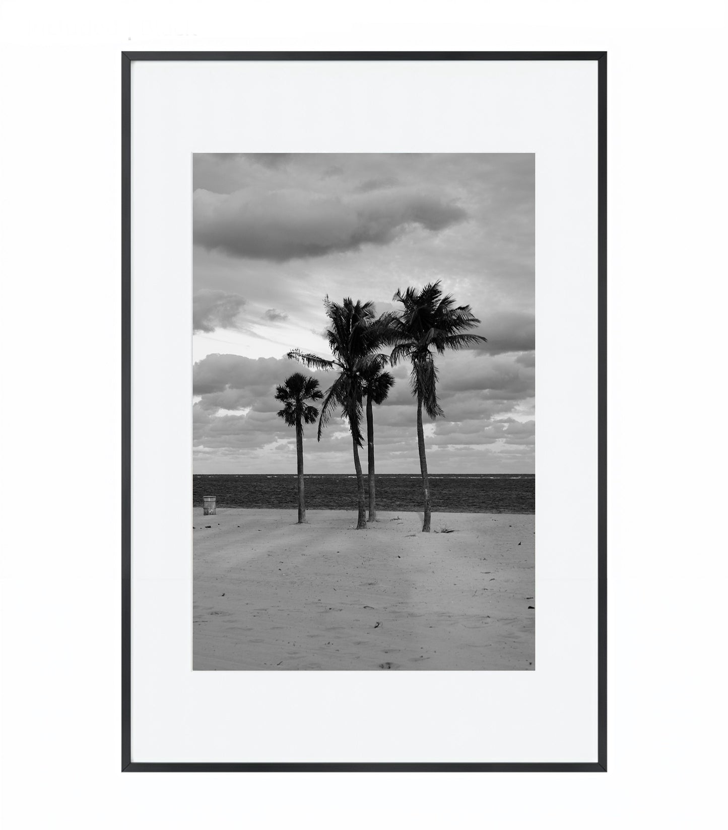 Coastal Monologue in Four Palms - Framed Photography Print