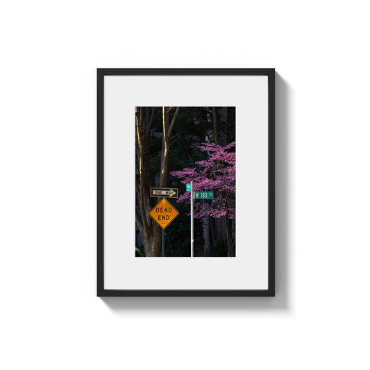 Blooming in the City - Framed Photography Print