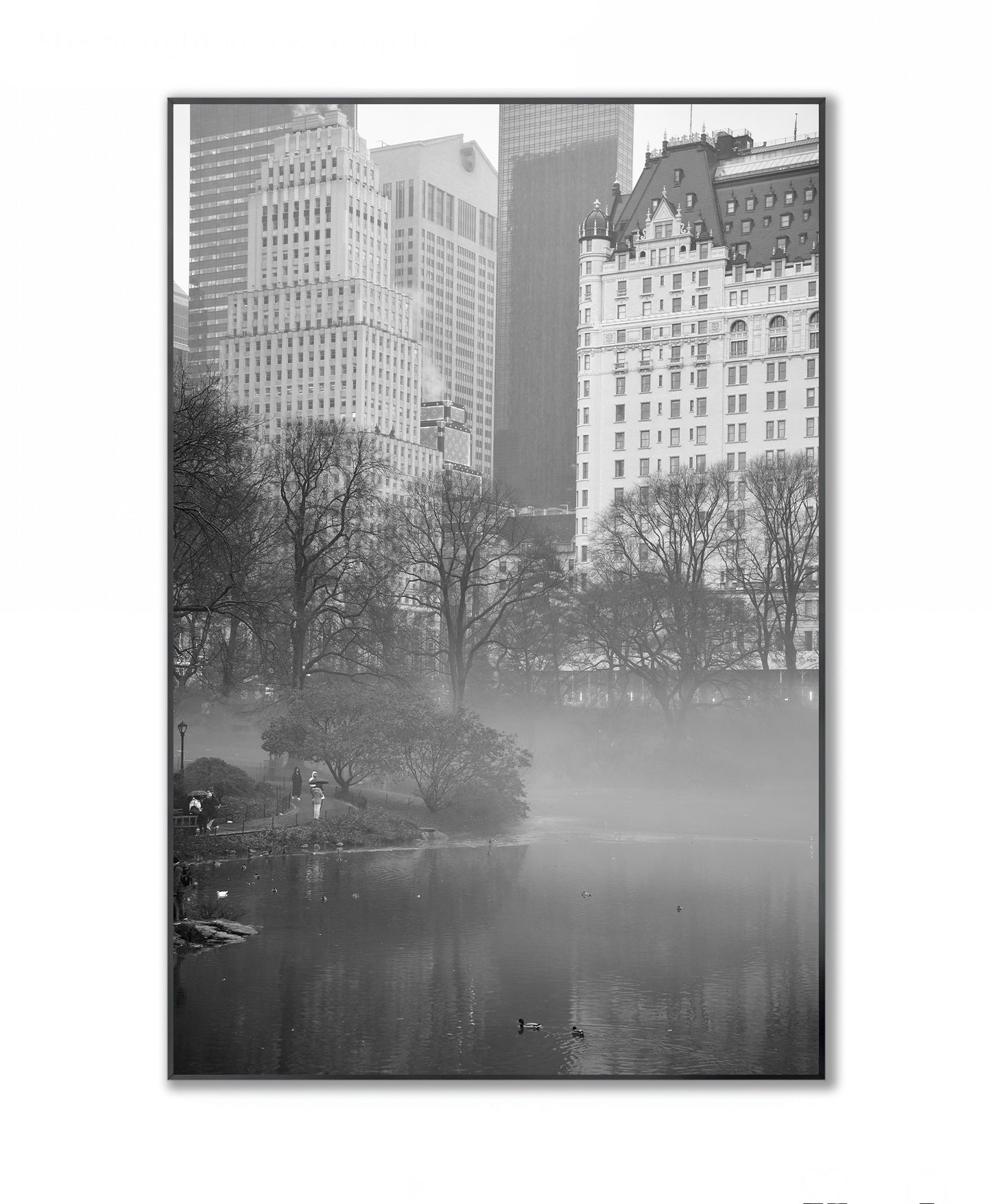 Urban Sanctuary in Fog: Central Park Scene - Framed Photography Print
