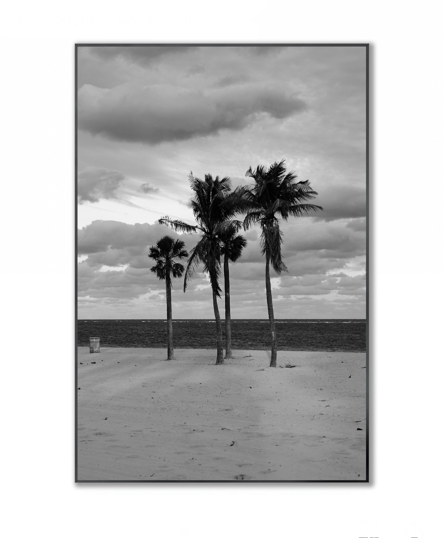 Coastal Monologue in Four Palms - Framed Photography Print