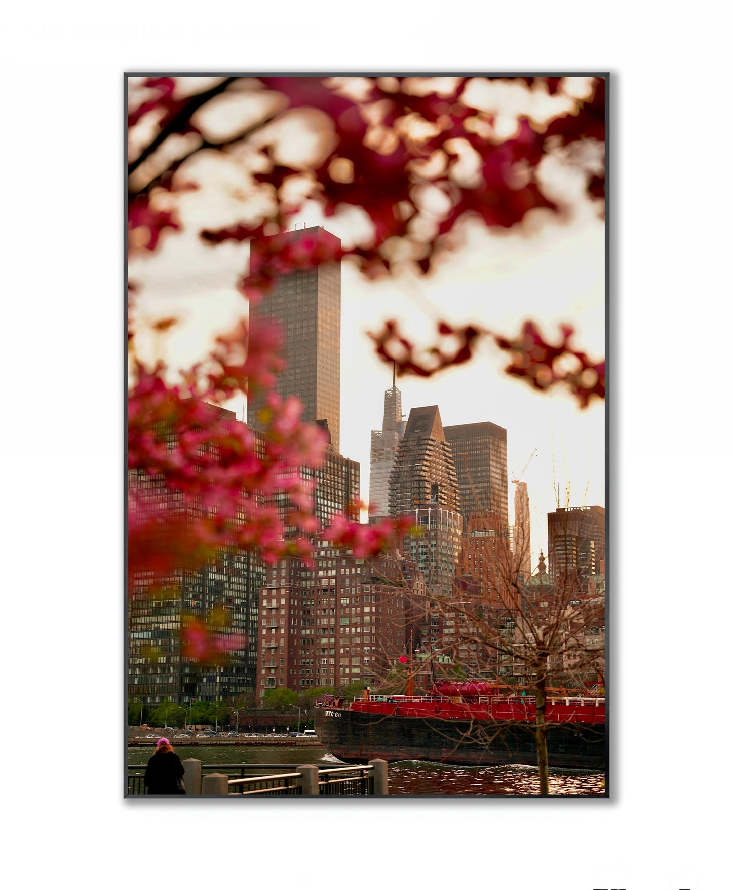 Urban Bloom: East River Spring in NYC - Framed Photography Print