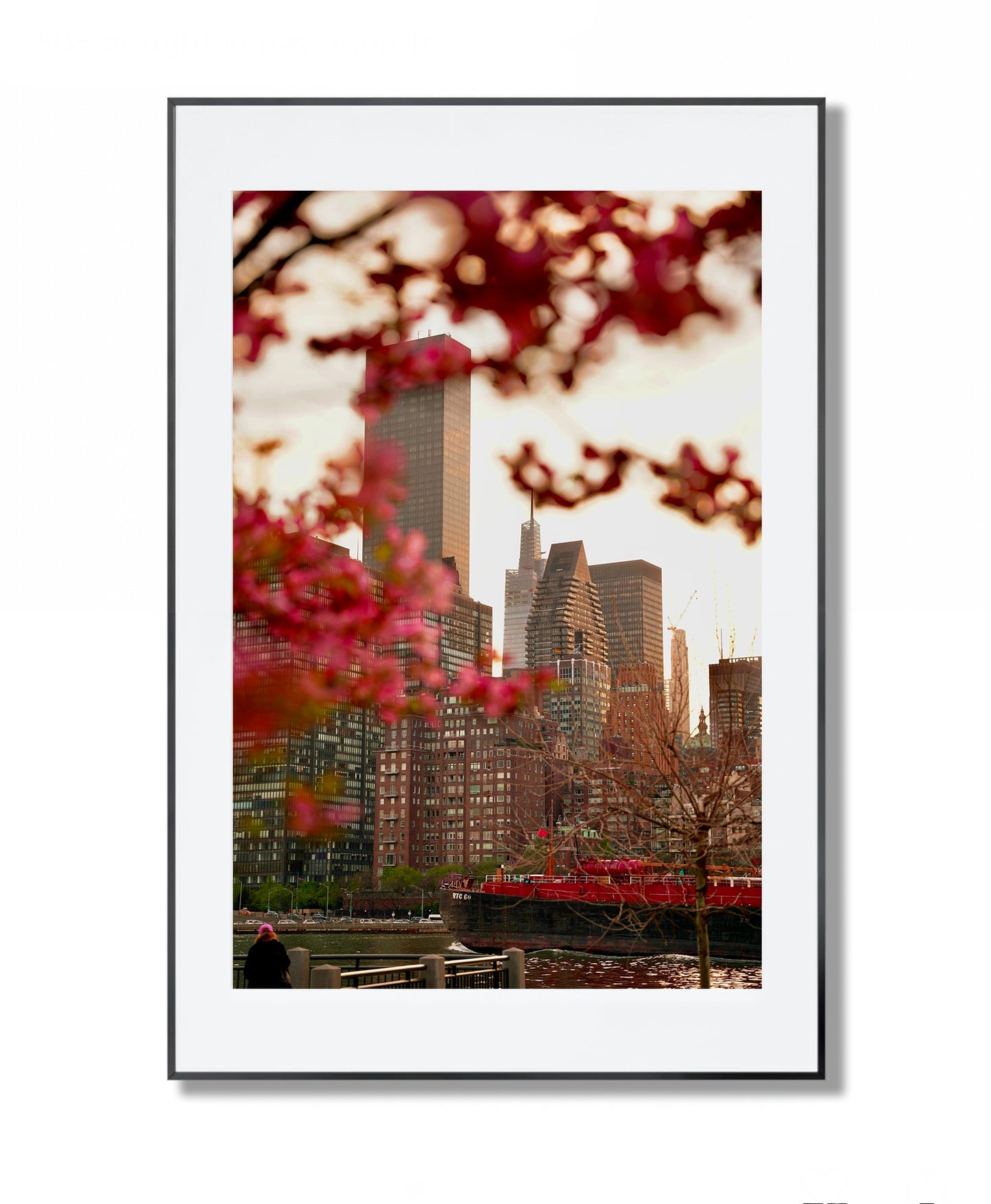 Urban Bloom: East River Spring in NYC - Framed Photography Print