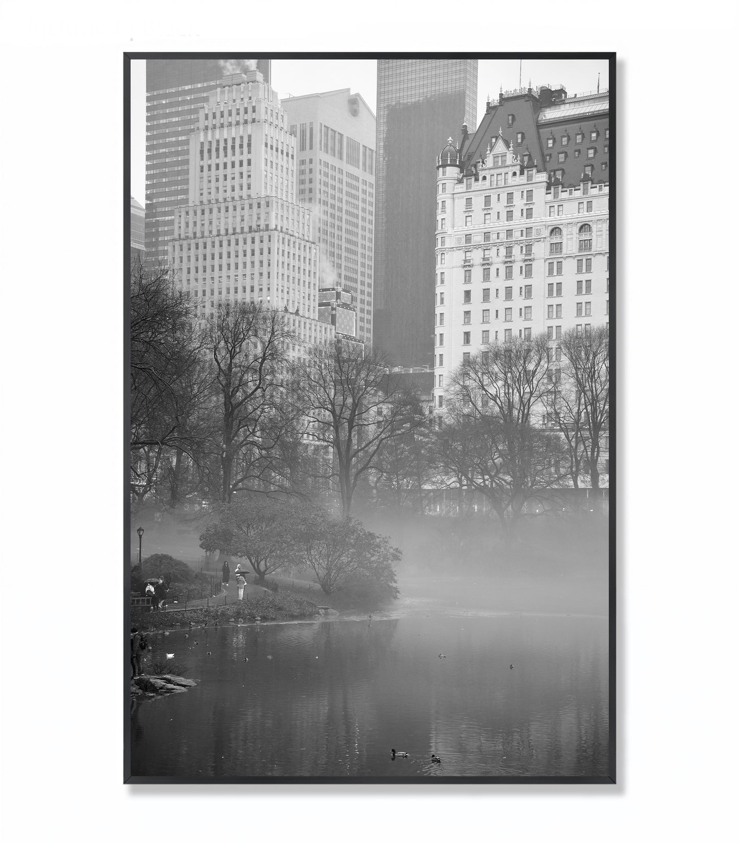 Urban Sanctuary in Fog: Central Park Scene - Framed Photography Print