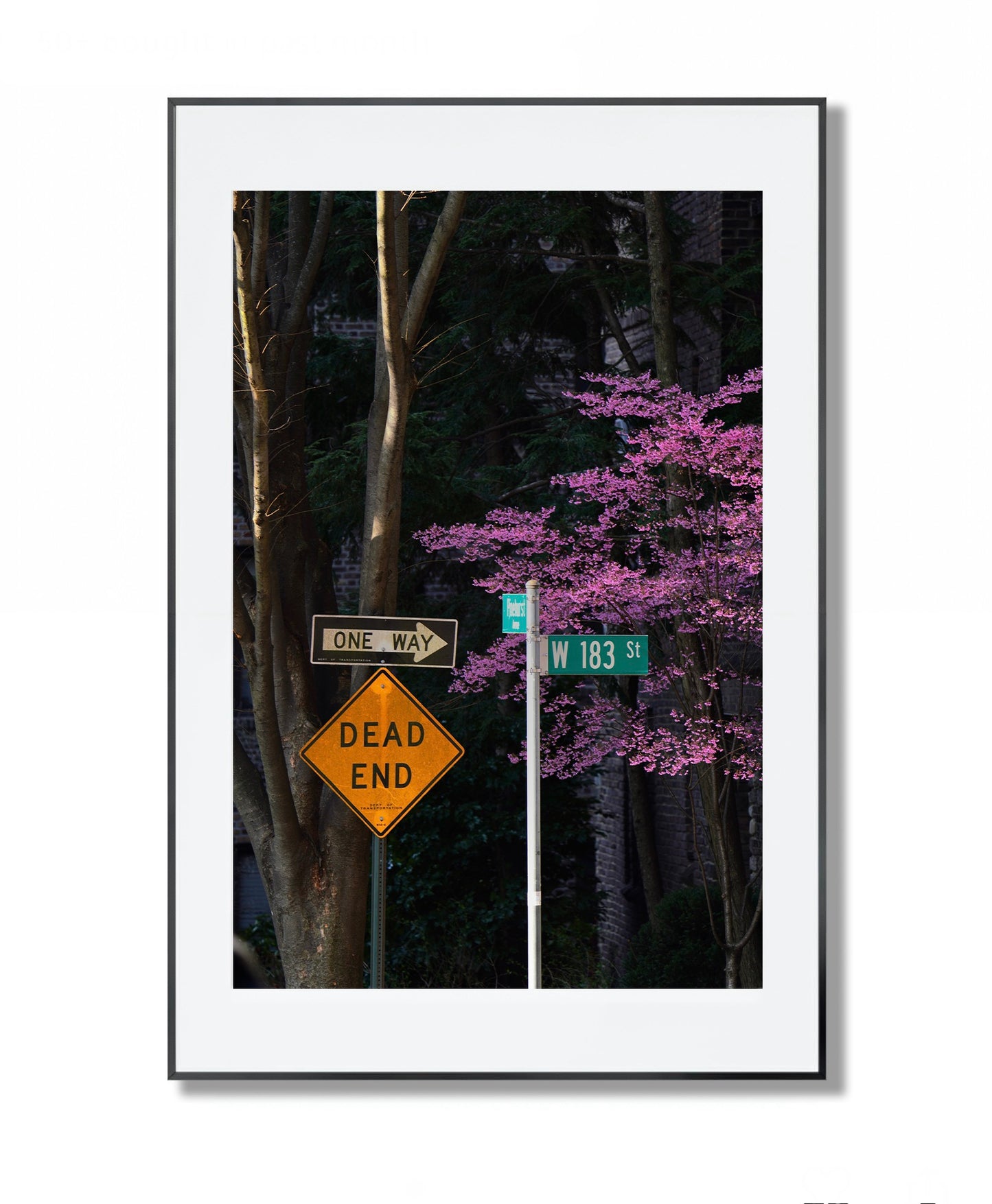 Blooming in the City - Framed Photography Print