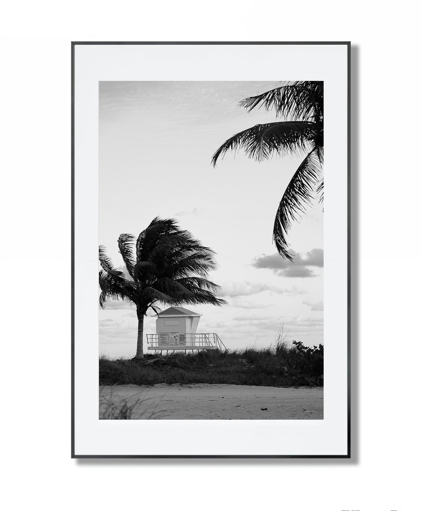 Windswept Coast - Framed Photography Print