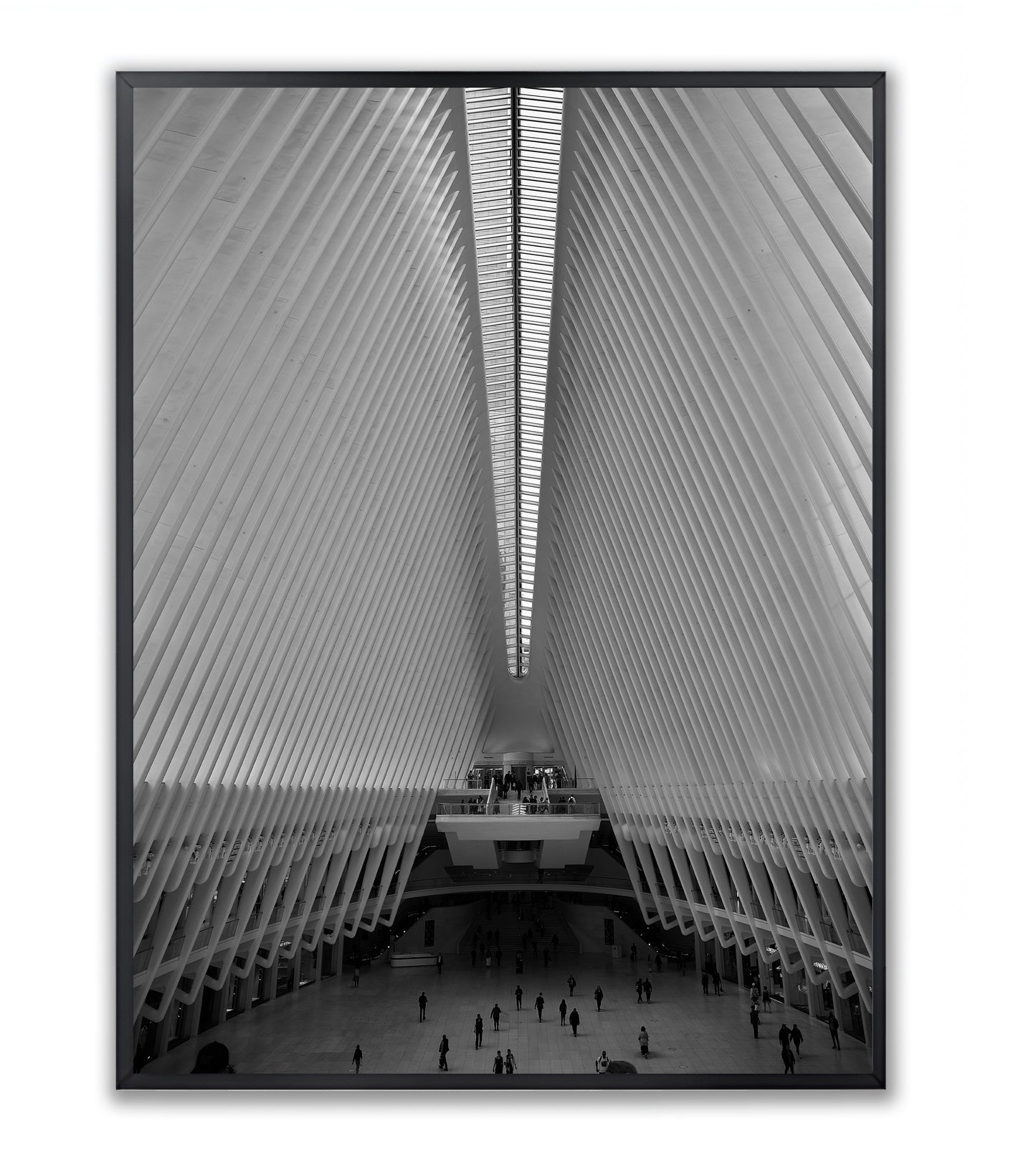 Oculus NYC - Iconic Architecture in Art