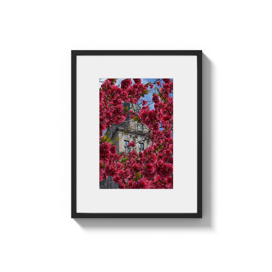Blooming in The City - Framed Photography Print