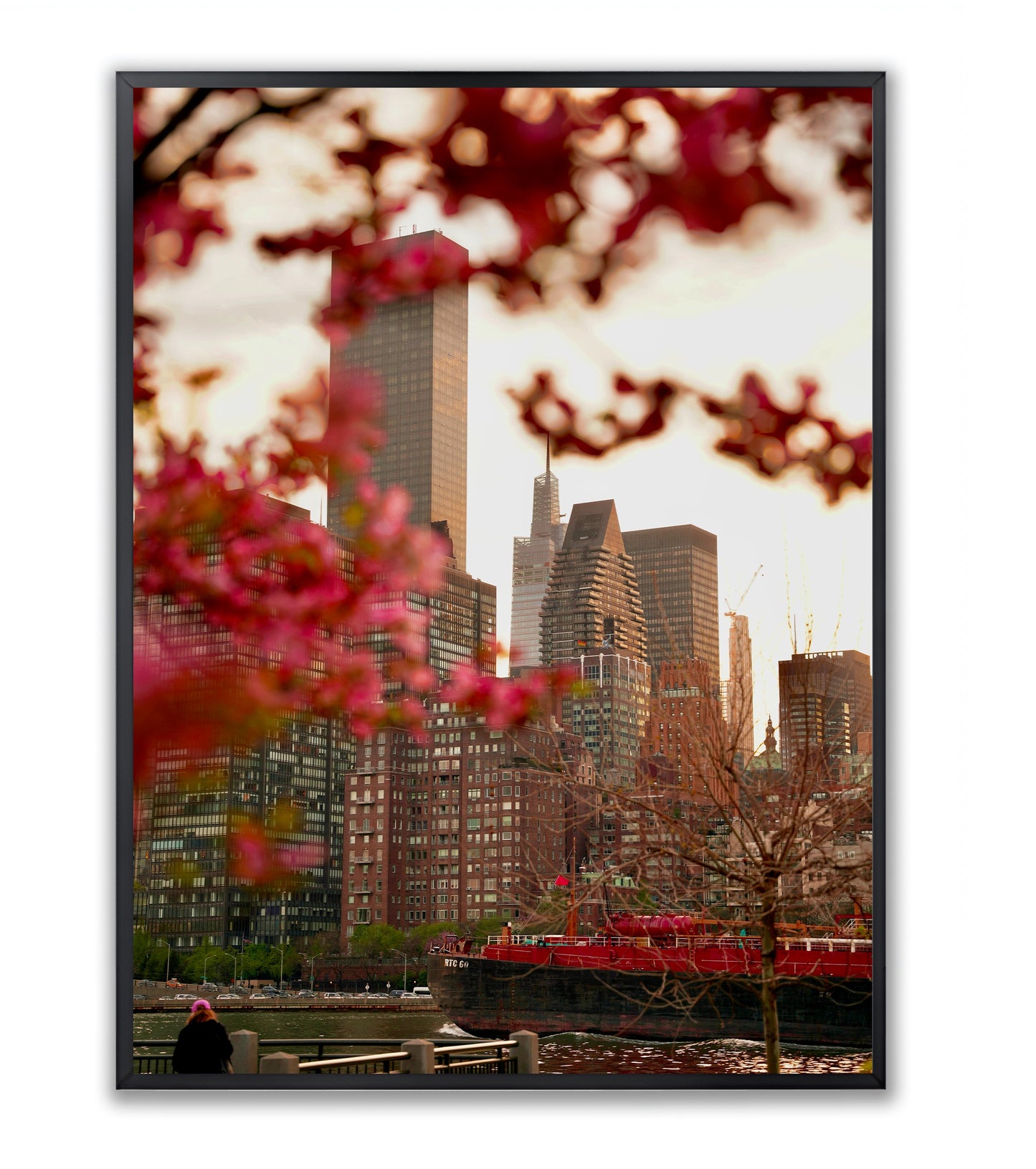 Urban Bloom: East River Spring in NYC - Framed Photography Print