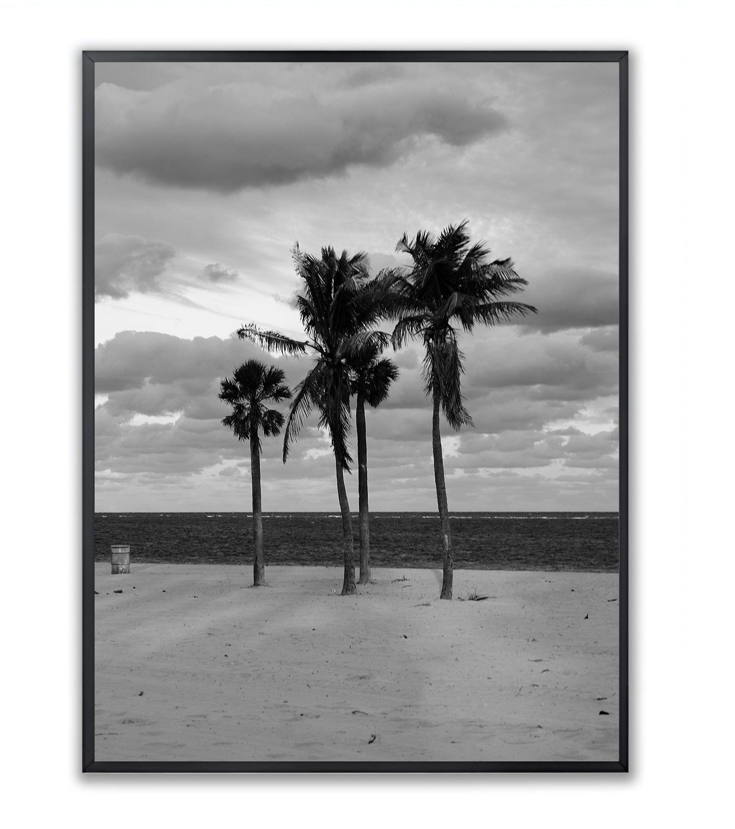 Coastal Monologue in Four Palms - Framed Photography Print