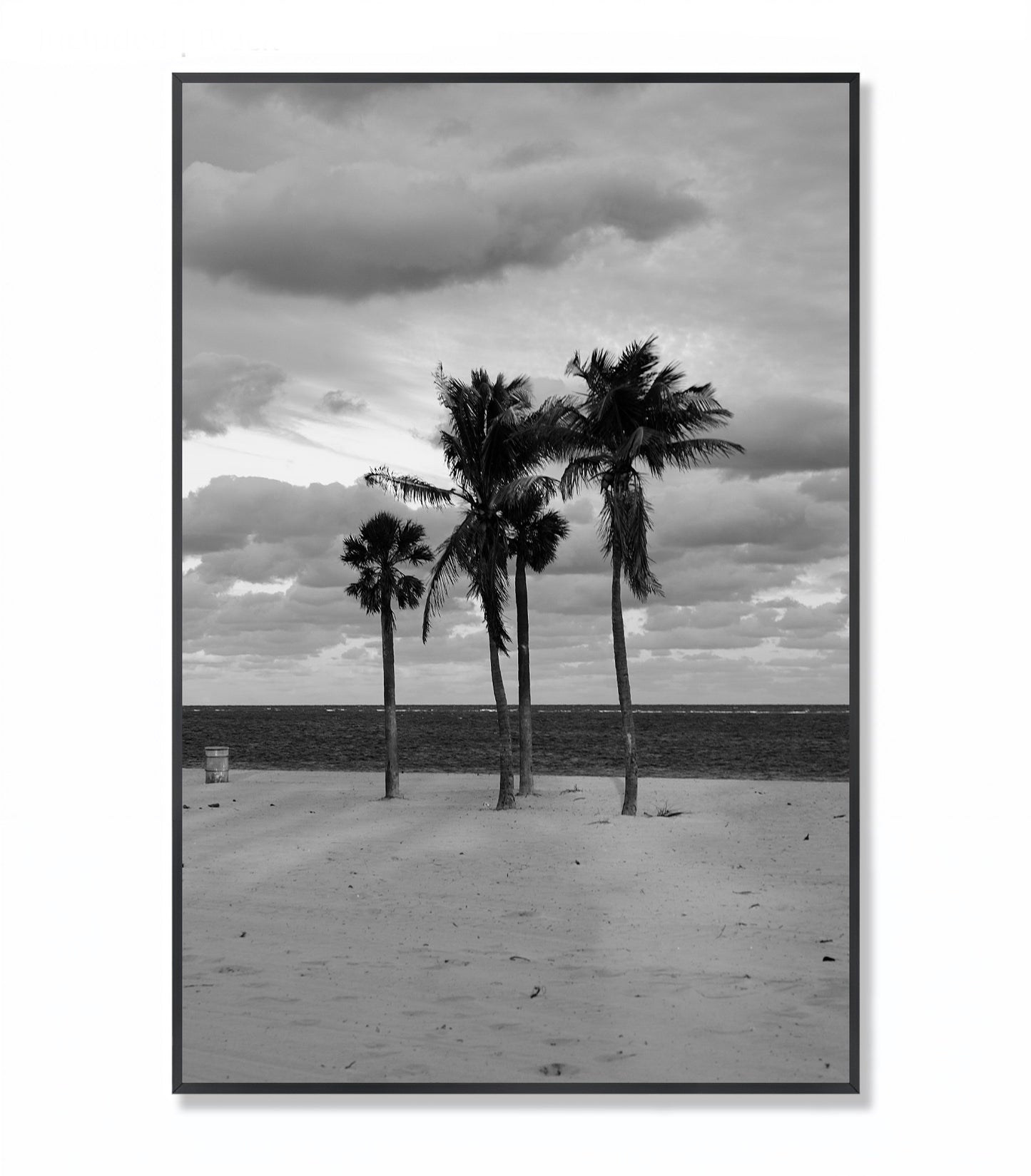 Coastal Monologue in Four Palms - Framed Photography Print